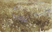 Levitan, Isaak Bluhende meadow oil on canvas
